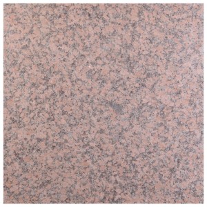 3.2 - Granit Maple Red _600x600x20_pl1.jpg