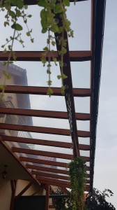 PC lity 5 mm - Wieliczka (13).jpeg