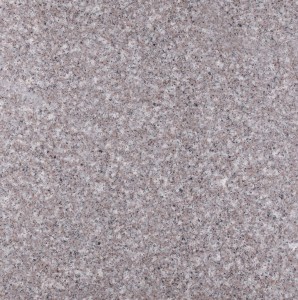 Stopnica Granitowa Bullnose G664 100x35x2 cm kolor