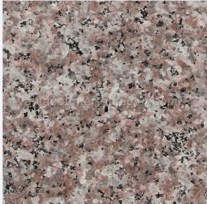 Brąz Królewski poler G664 - 60x60.jpg