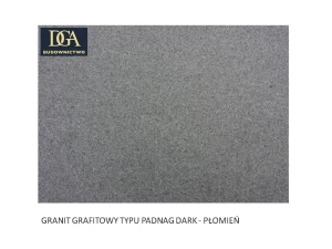 Stopnice /Trepy/Płytki  - GRANIT GRAFITOWY TYPU PADNAG DARK  płomień, gr. 2 cm  - 1 m2 wyrobu gotowego
