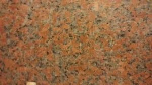 Maple Red - poler - zbliżenie.jpg