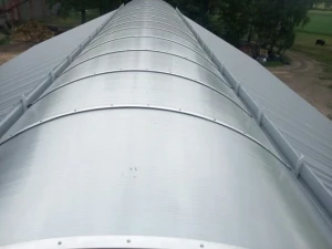 Płyta kom. bezb. 16 mm - Kalisz - naświetla obora (6).jpg