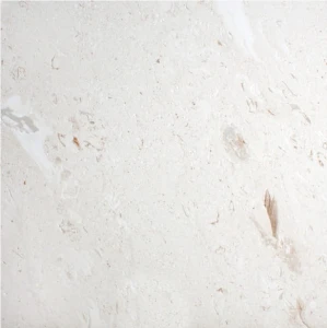 Wapień BEIGE szczotk.1.jpg