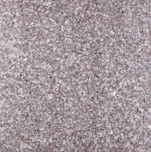 9955