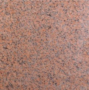 Maple Red - poler.jpg
