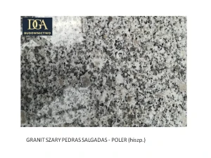 1. DGA - GRANITY - PEDRAS SALGADAS - POLER .jpg