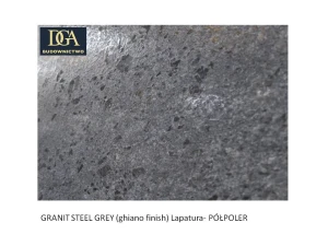10. DGA - GRANITY STEEL GREY (GHIANO FINISH) LAPATURA - PÓŁPOLER.jpg